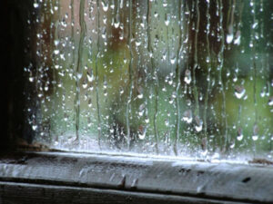 image-240524-9
