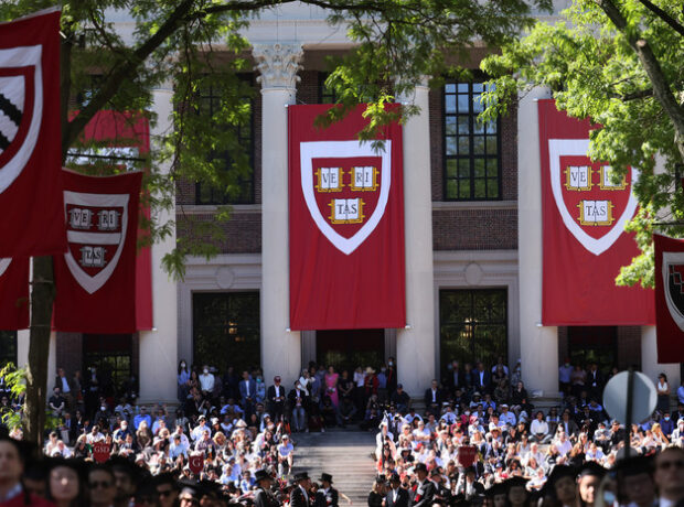 image-67ffa76302e8bd20bd5708ea