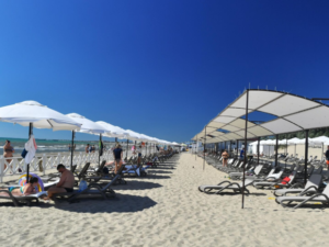 image-68024fa202e8bd020f1897ba