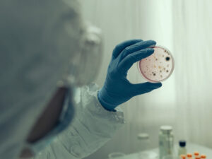 image-680a2aae02e8bd3062624bba