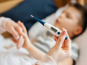 image-ekran_sekli_2025-04-12_183726