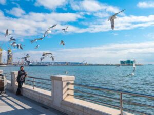 image-hava
