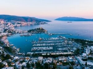 image-img-20250412-wa0066