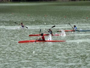 image-photo_202238