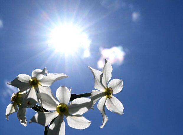 image-1688286519_1687942015_442418498_0_0_3179_1788_1920x0_80_0_0_785d5b714da09b8257f5587ba4e5dcb4