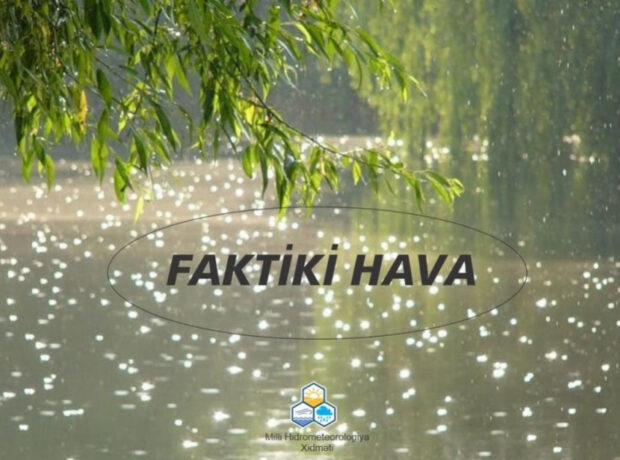 image-1718948414805419579_1200x630