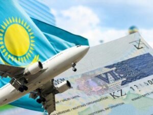 image-1746041753_342966_6p215508tt