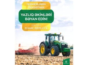 image-17466220142514110334_1200x630