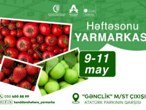 image-17466886123740261650_1200x630