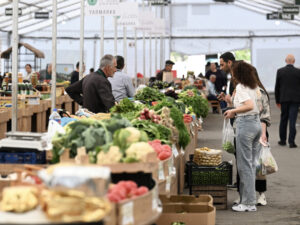 image-1746785119655932811_1200x630