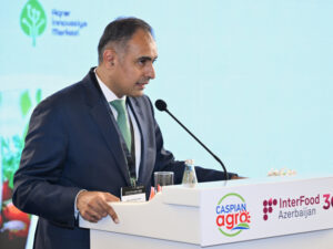 image-17473059075698324599_1200x630