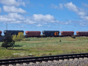 image-17473322361290215453_1200x630