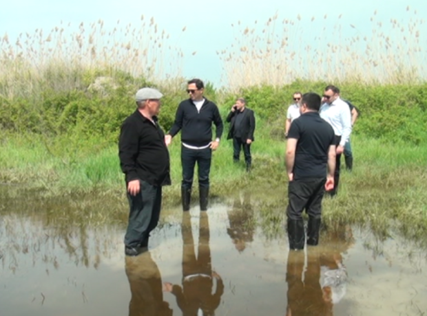 image-1747474274418292055_1200x630