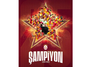 image-17475924592180451680_1200x630