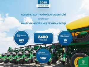 image-1747659784431903245_1200x630