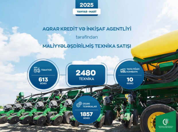 image-1747659784431903245_1200x630