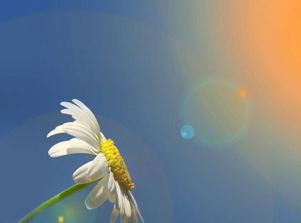 image-17479036661120063983_1200x630