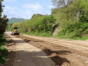 image-17479093003839629428_1200x630