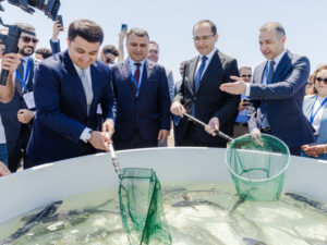 image-17479783495082382_1200x630