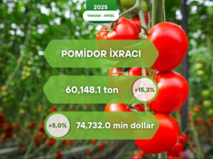 image-17480041355124456640_1200x630