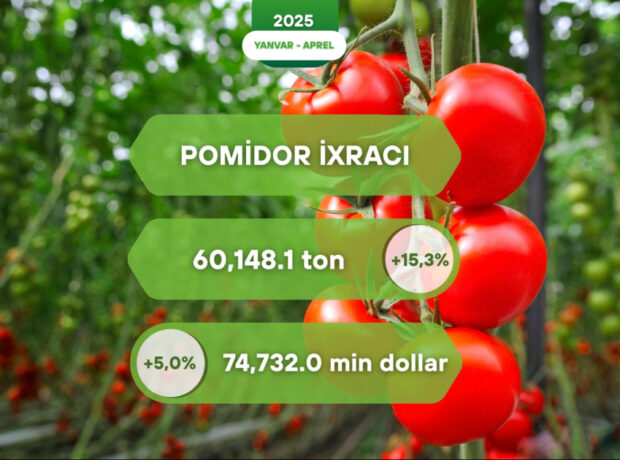 image-17480041355124456640_1200x630