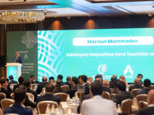 image-174833480233314299_1200x630