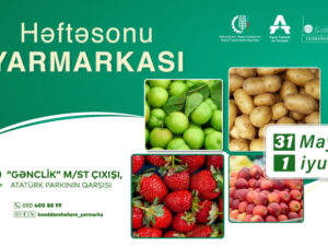 image-17485020434728837219_1200x630