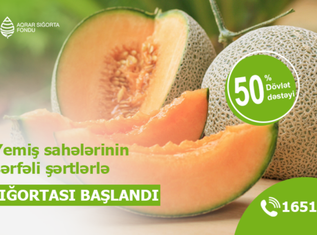 image-17486058986154633210_1200x630