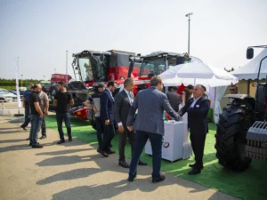 image-1zemhikin7069hvftanocrfgswtsf8fgxq4svqv0_1200