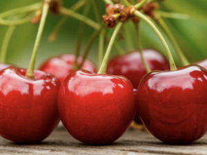 image-6825ed79ae5ac942886c6302