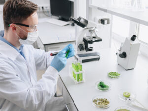 image-6825fd5bae5ac951d76cef87