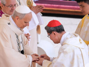 image-6829a94102e8bd14b63bbb0a-1