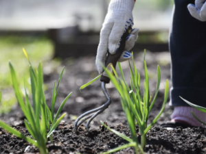 image-682afa9aae5ac939c17d35d9