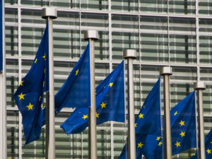 image-68332585ae5ac9200e069d4b