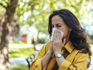 image-6834372402e8bd1ab33f4b9a