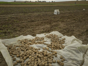 image-68349b24ae5ac938876b8884