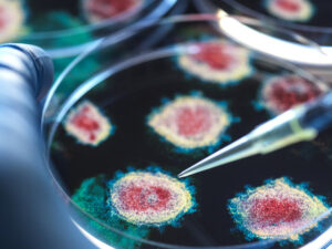 image-6839852002e8bd170847eb95