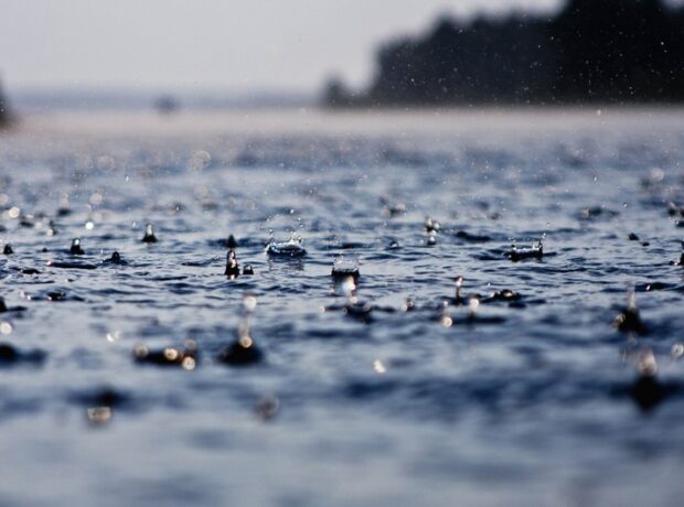 image-cbb9e73f-3f78-30bc-8d46-f7462b6e6c80_850