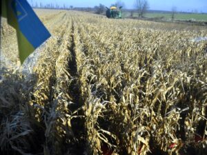 image-gettyimages-1244823390-1536x1047