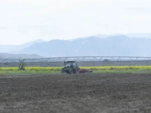 image-tooha9gtzs7s68mnfgpkh0g9yvs5djpnv95g6wlb_1200