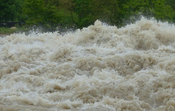 image-wf7yqd60lm3yc3eqbmdzr6ndqfkddhtaycygwqkr