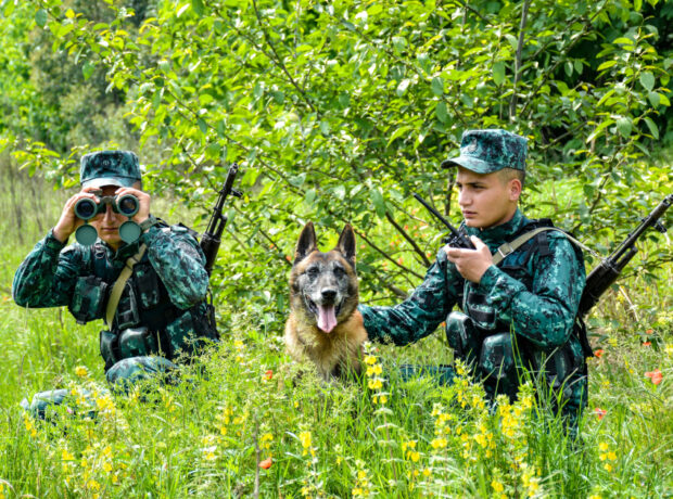 image-174893832455114261_1200x630