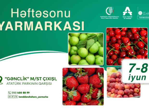 image-17491253174172953652_1200x630