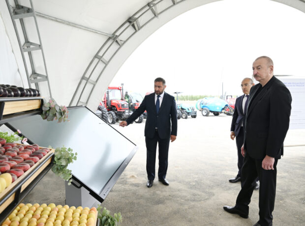 image-17506731133340256947_1200x630