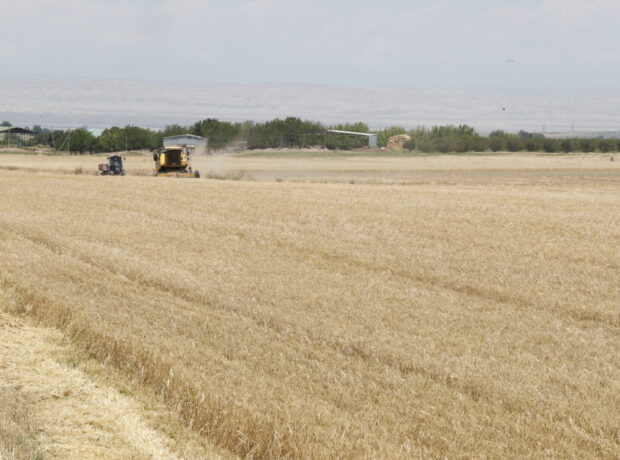 image-1751272248116662237_1200x630