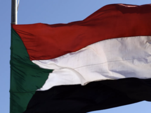 image-683d3ab802e8bd4b1b01efd9