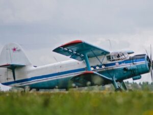 image-15671732584953735499_1200x630