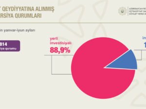 image-17515270872214655390_1200x630