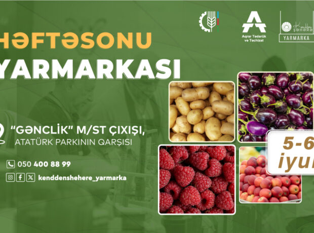 image-17515431061685218290_1200x630-1