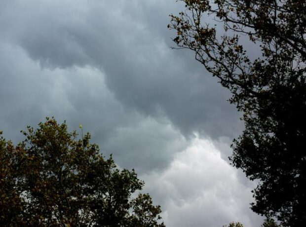 image-1751782746562724426_1200x630